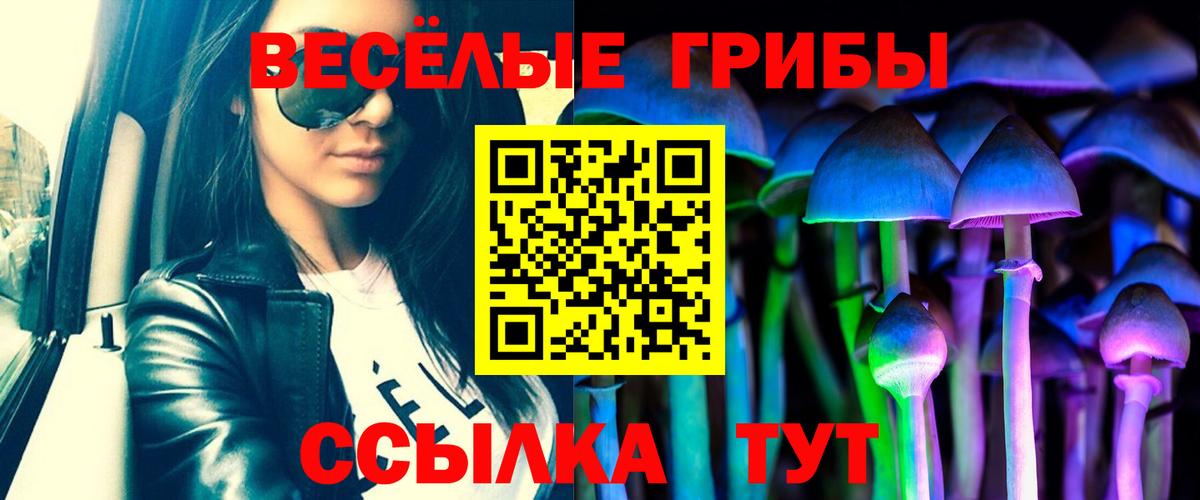 Муром  Псилоцибиновые грибы прущие грибы  Вход с VPN 
